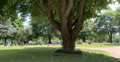 EastLawn Grounds