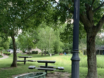 Greens Park benches